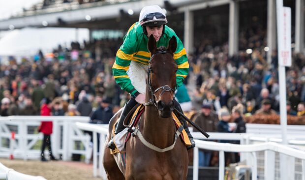 Spillanes Tower (ridden by Jack Kennedy) heading to the start at Cheltenham. He is due to line up in the Cheltenham Gold Cup