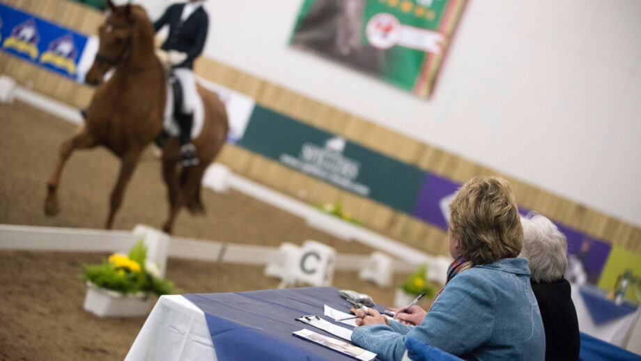 A judge and their writer sitting at their desk scoring a test and writing comments at Hartpury College.
