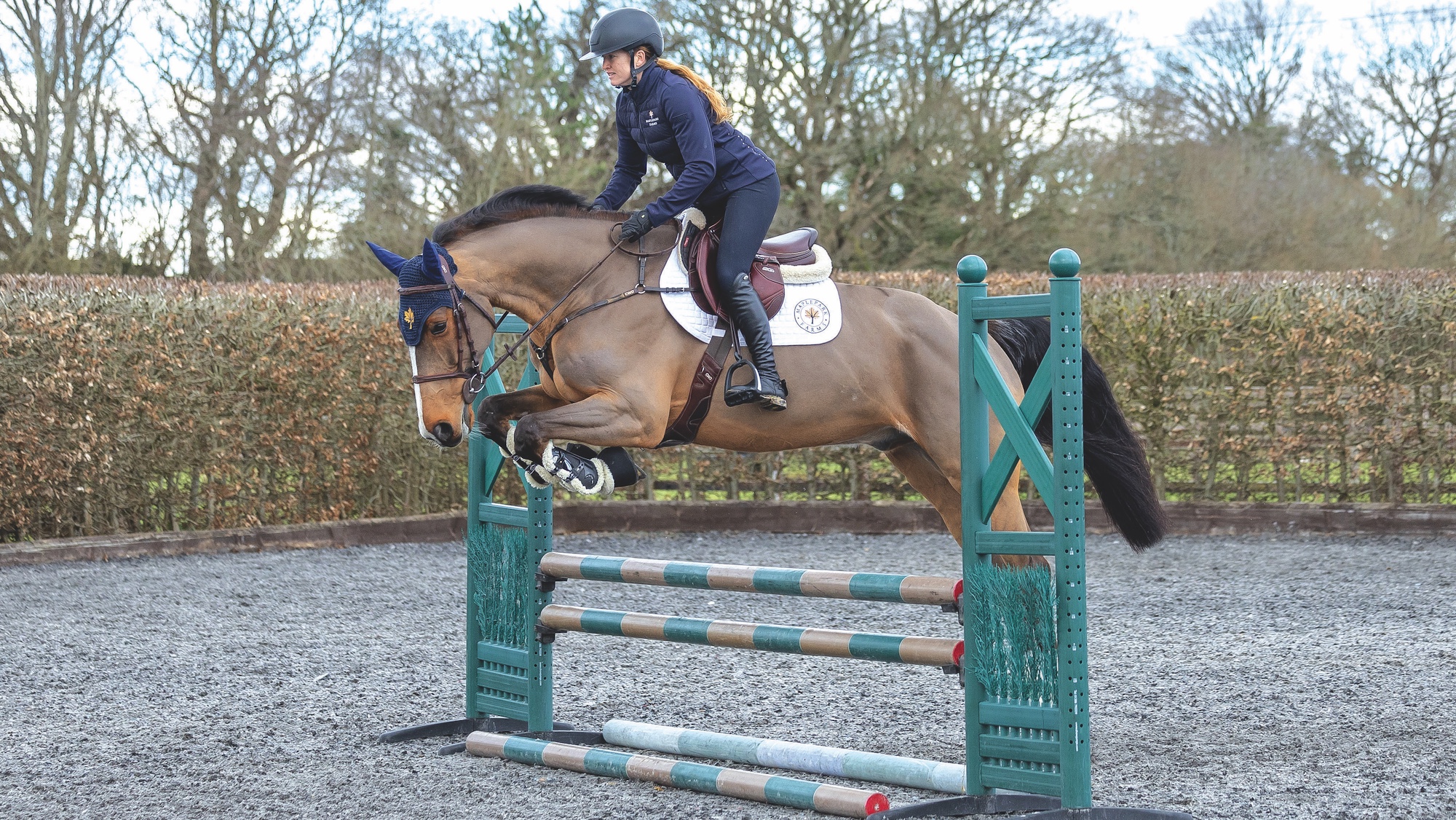 Kara Chad jumping green showjump with bay horse Udo