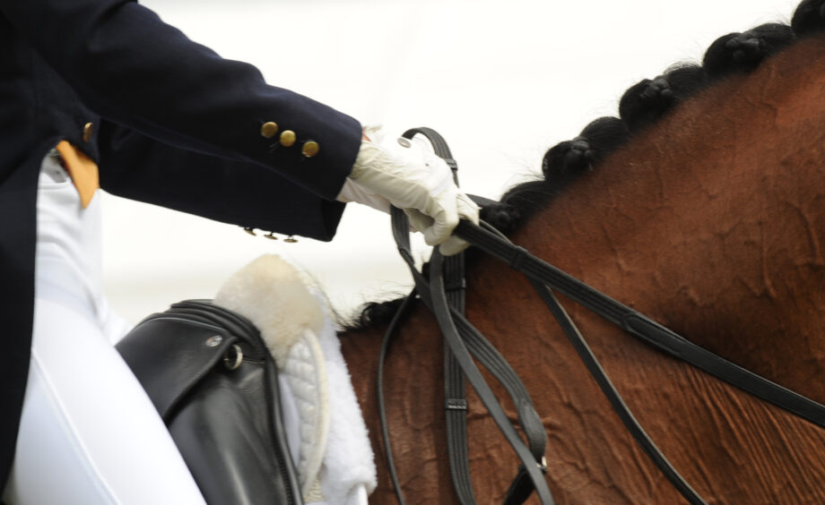 Pictured a dressage rider and horse.