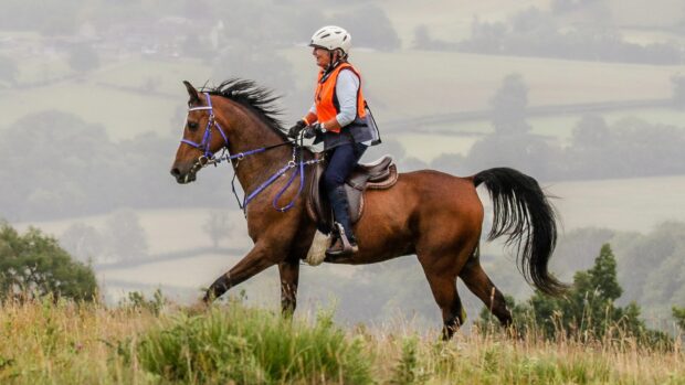 Pat Guerin and Farid My Lad at the Okeover endurance ride 2025