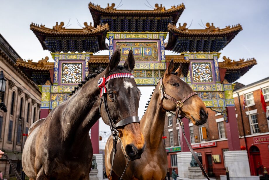 Racehorses Kemboy and Nora The Explorer mark the year of the horse under Liverpool's Chinese arch