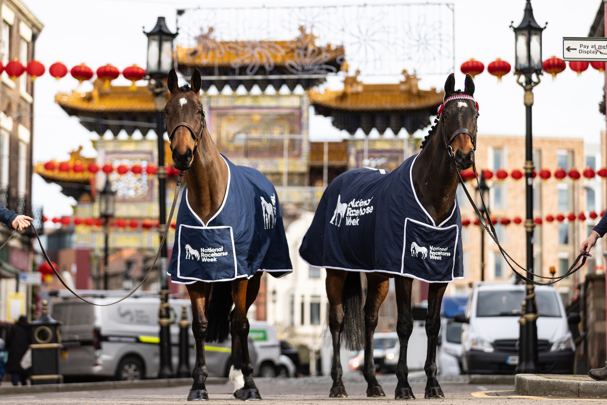 Racehorses Kemboy and Nora The Explorer mark the year of the horse under Liverpool's Chinese arch
