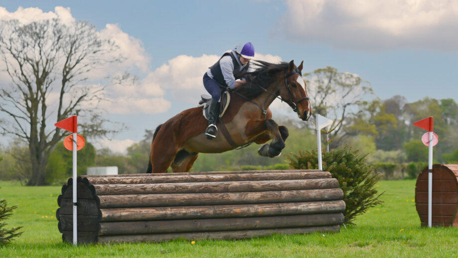 Horse rider cross-country schooling at a course for hire