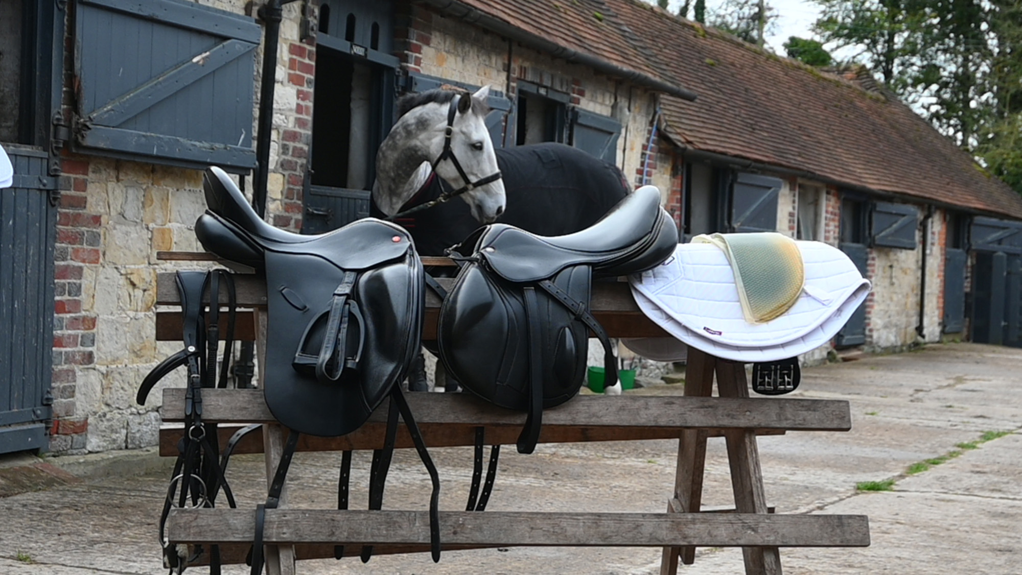 Two saddles, a bridle and a saddle pad on a rack ready to be cleaned with a horse in the background