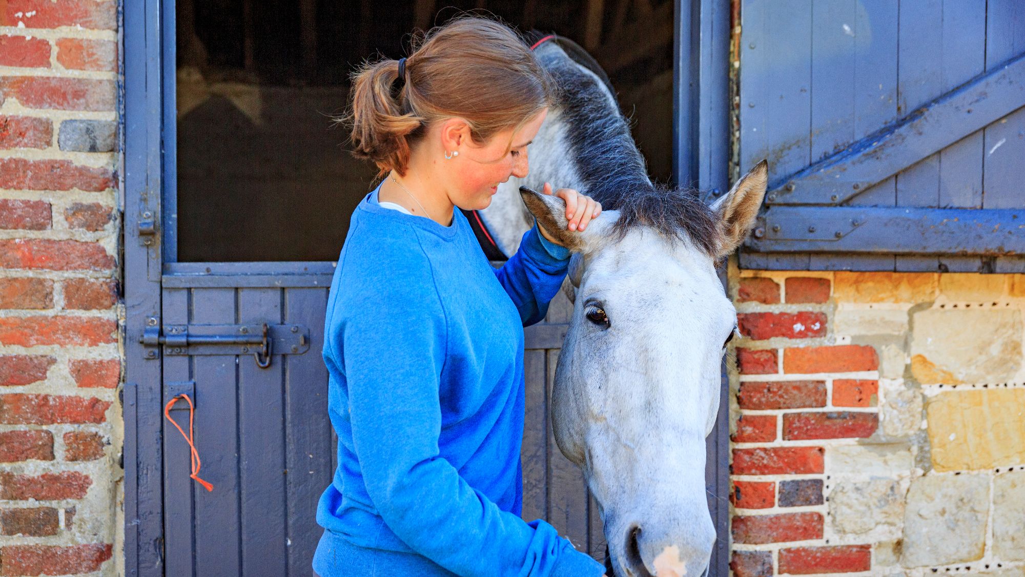 A grey horse in a brick stable with a blue door. A woman in a blue top entertains the stabled horse, petting his ear and drawing his nose forward.