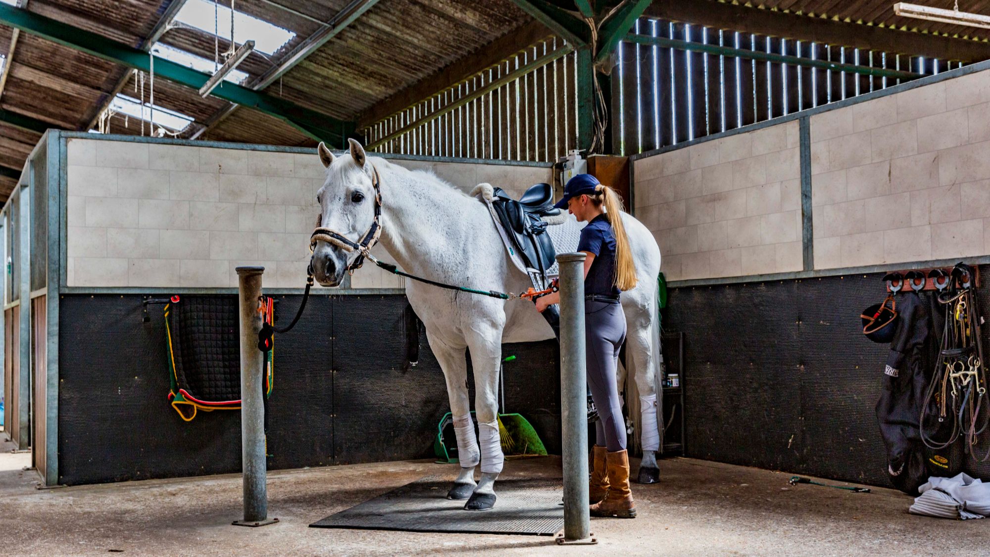 A woman tacks up a grey horse who is stood between cross ties in a livery barn, perhaps preparing for work that targets muscle building for horses.