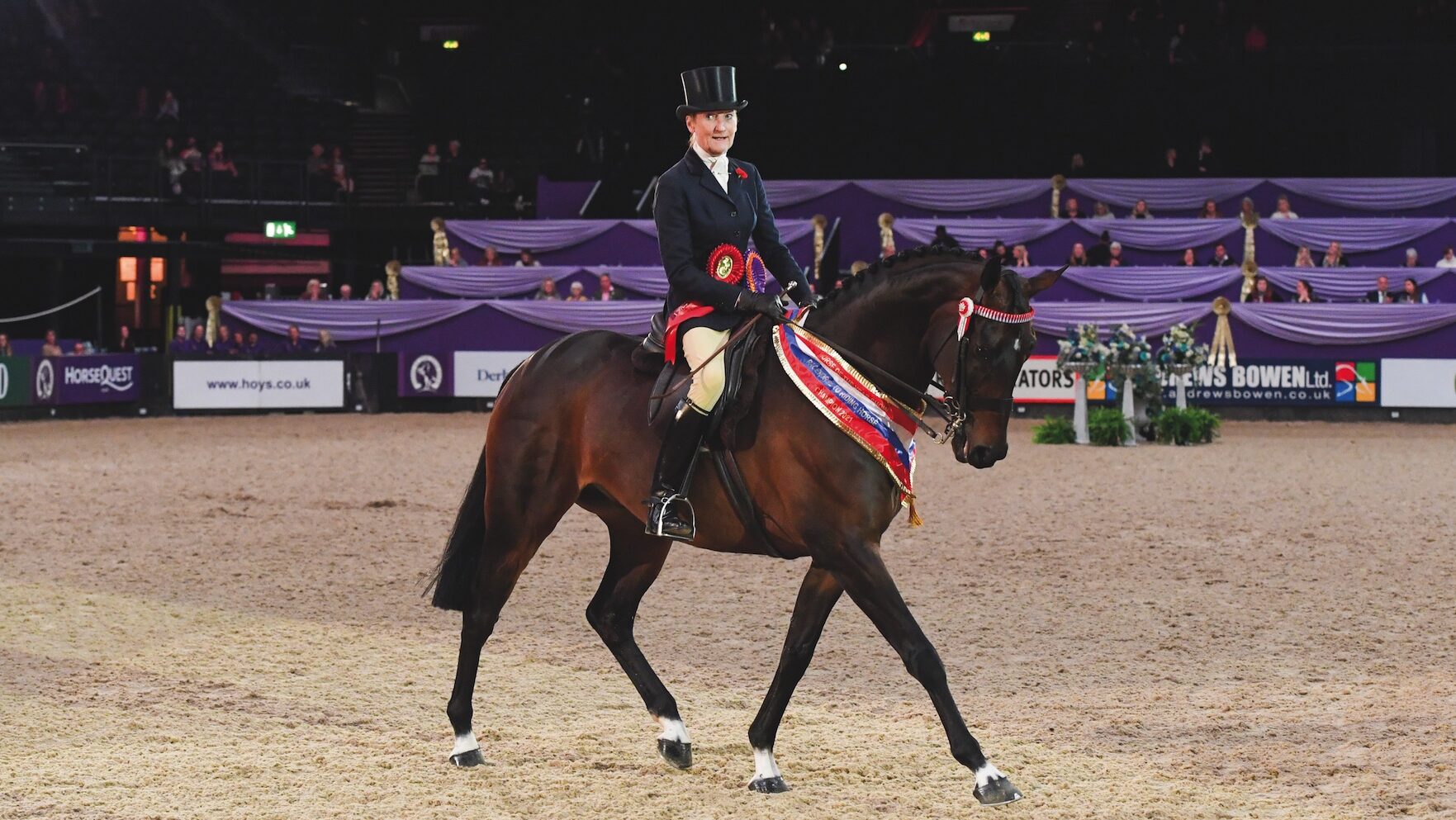 Ex-racehorse Minella Rebellion competing at Horse of the Year Show