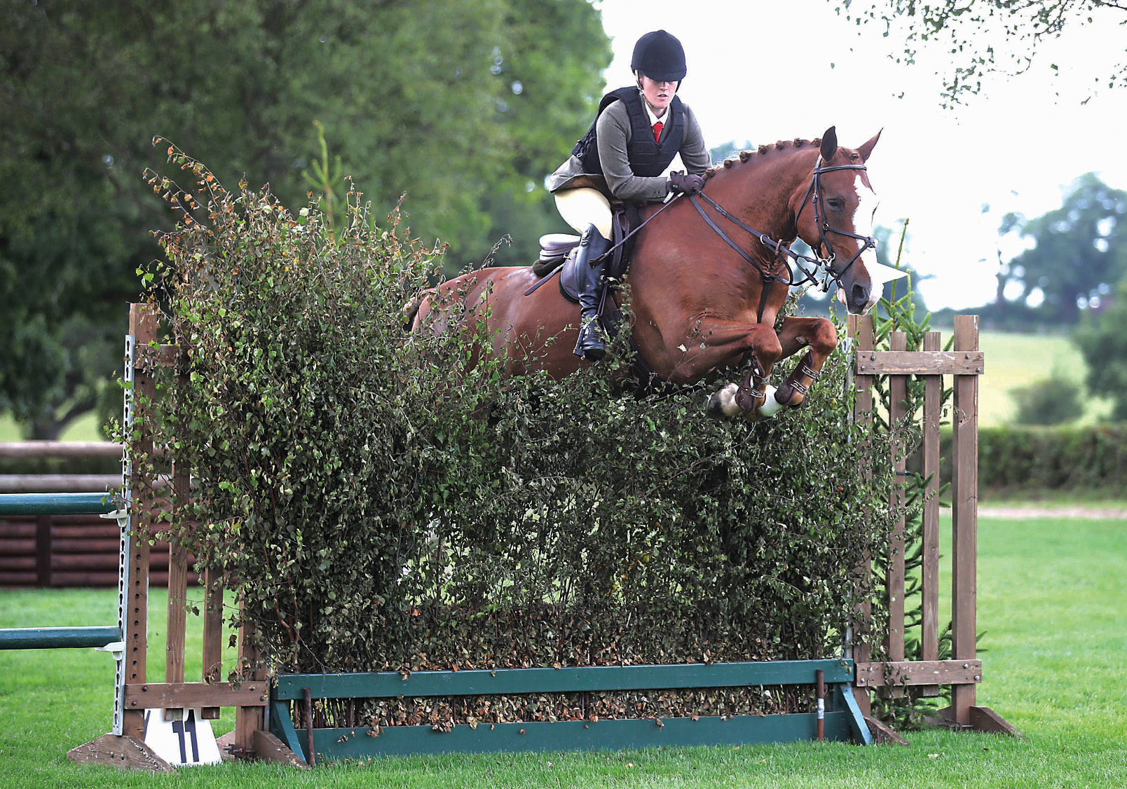 Ruby Ward and Noble Banksy tackle a bullfinch with ease at Hickstead.