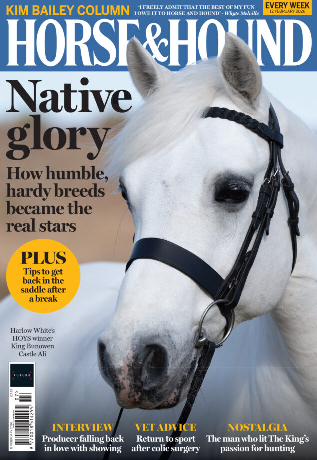 Cover of Horse & Hound magazine, on sate Thursday 12 February 2026, featuring an image of a grey Highland pony