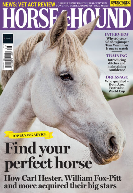 Cover of Horse & Hound, in shops Thursday 5 February, featuring a grey horse