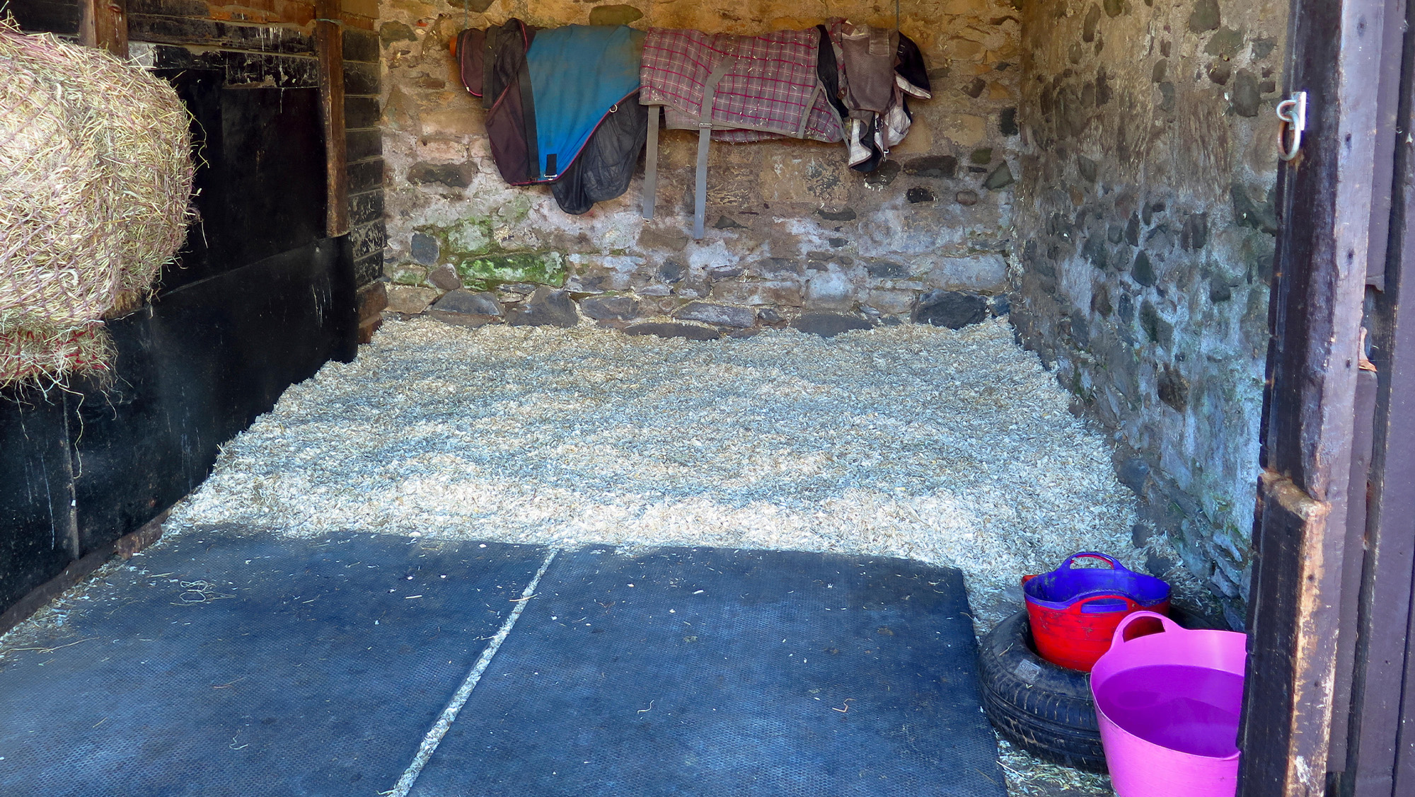 Stable interior with shavings bedding and rubber matting