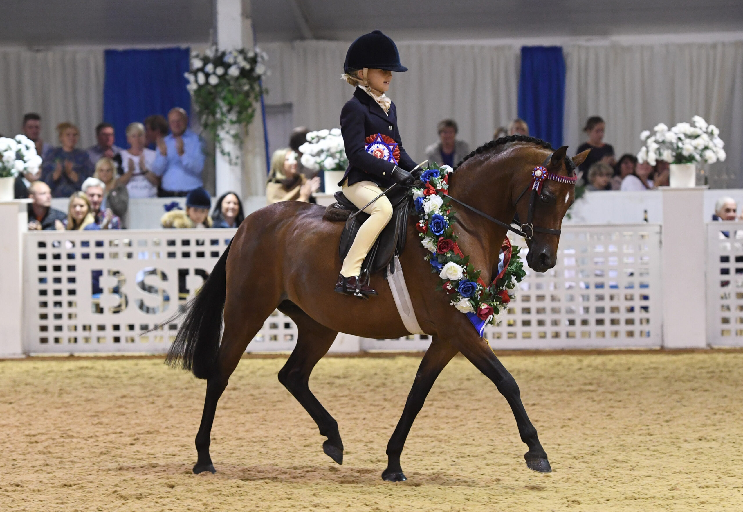 Woodview Ianthe and her young rider trot from the arena as supreme of show at the BSPS championships with their winner's sash in 2018