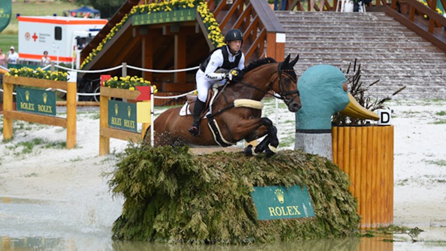 Image shows a bay horse and rider jumping over a brush fence in the shape of a duck at Aachen in 2017