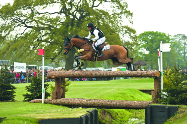 Michael Jung and La Biosthetique Sam FBW on the Badminton 2017 cross-country