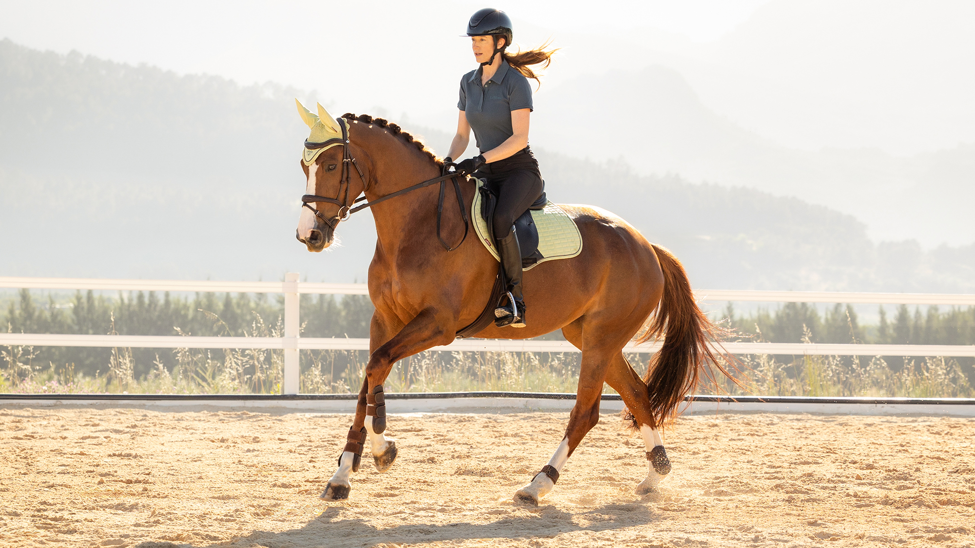 lady riding a horse in arena wearing LeMieux SS26 Macaron saddlepad and fly veil 
