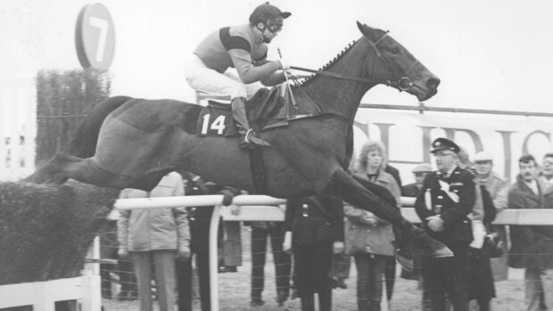 Dawn Run jumps a steeplechase fence. Black and white photo