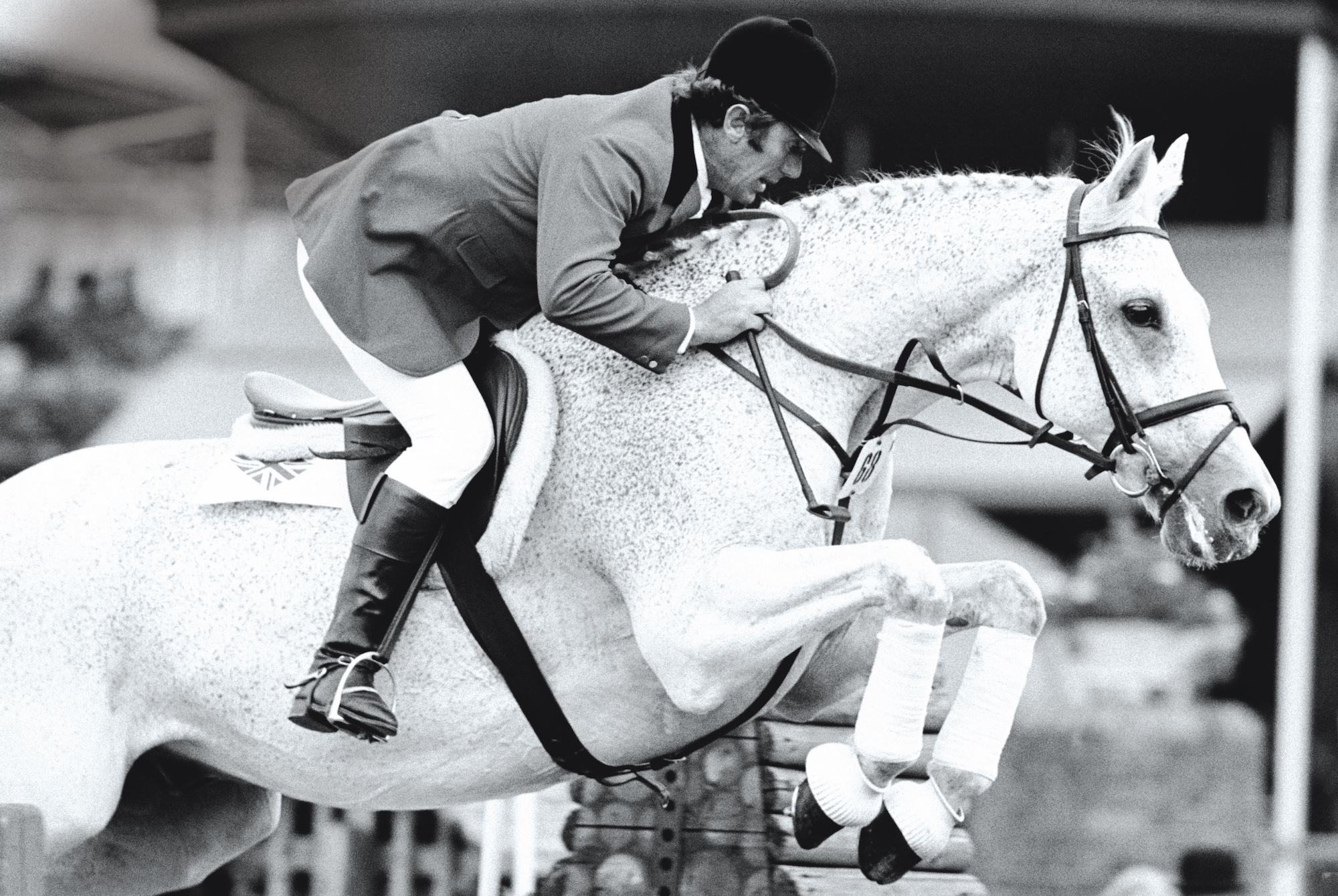 John Whitaker riding grey thoroughbred Philco. Black and white photo