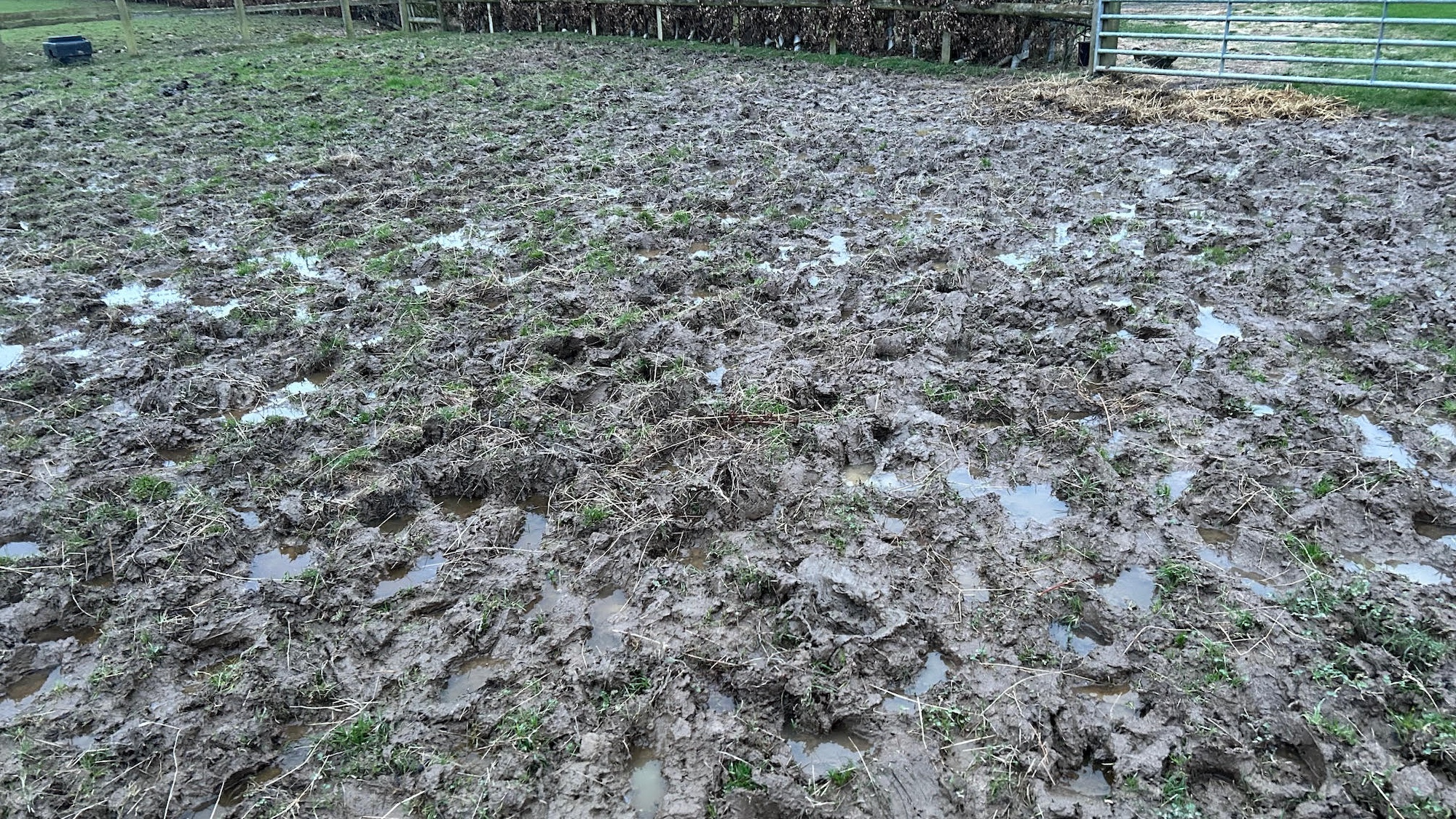 It’s as if January said ‘hold my beer’ – has this been the most miserable winter yet?