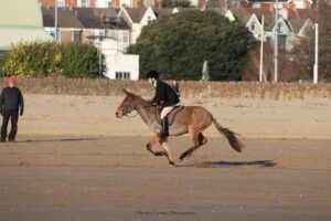 Joanna Lowes and Miley the mule out bloodhounding