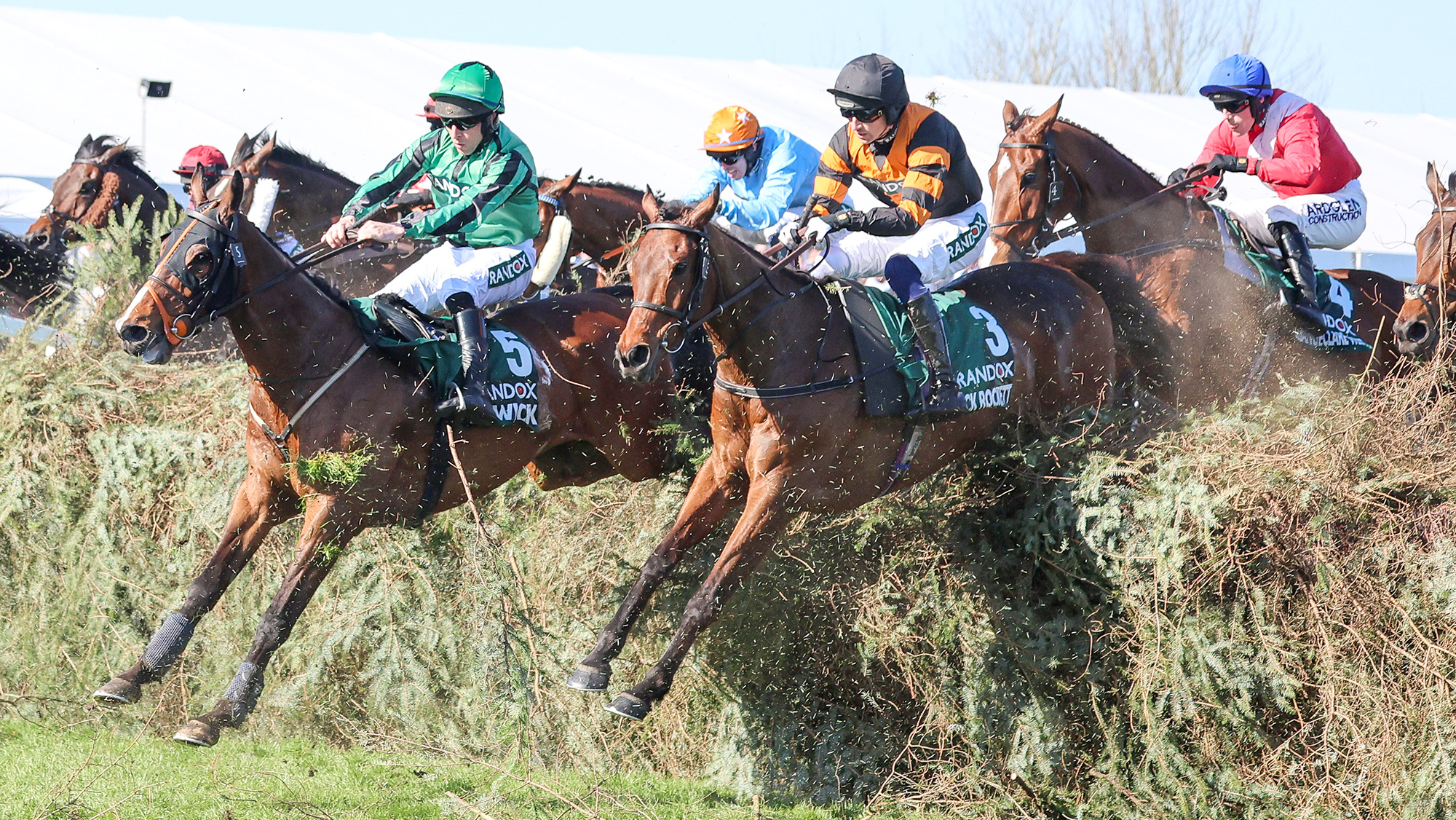 Grand National runners 2026: which horses are entered for Aintree’s historic race?