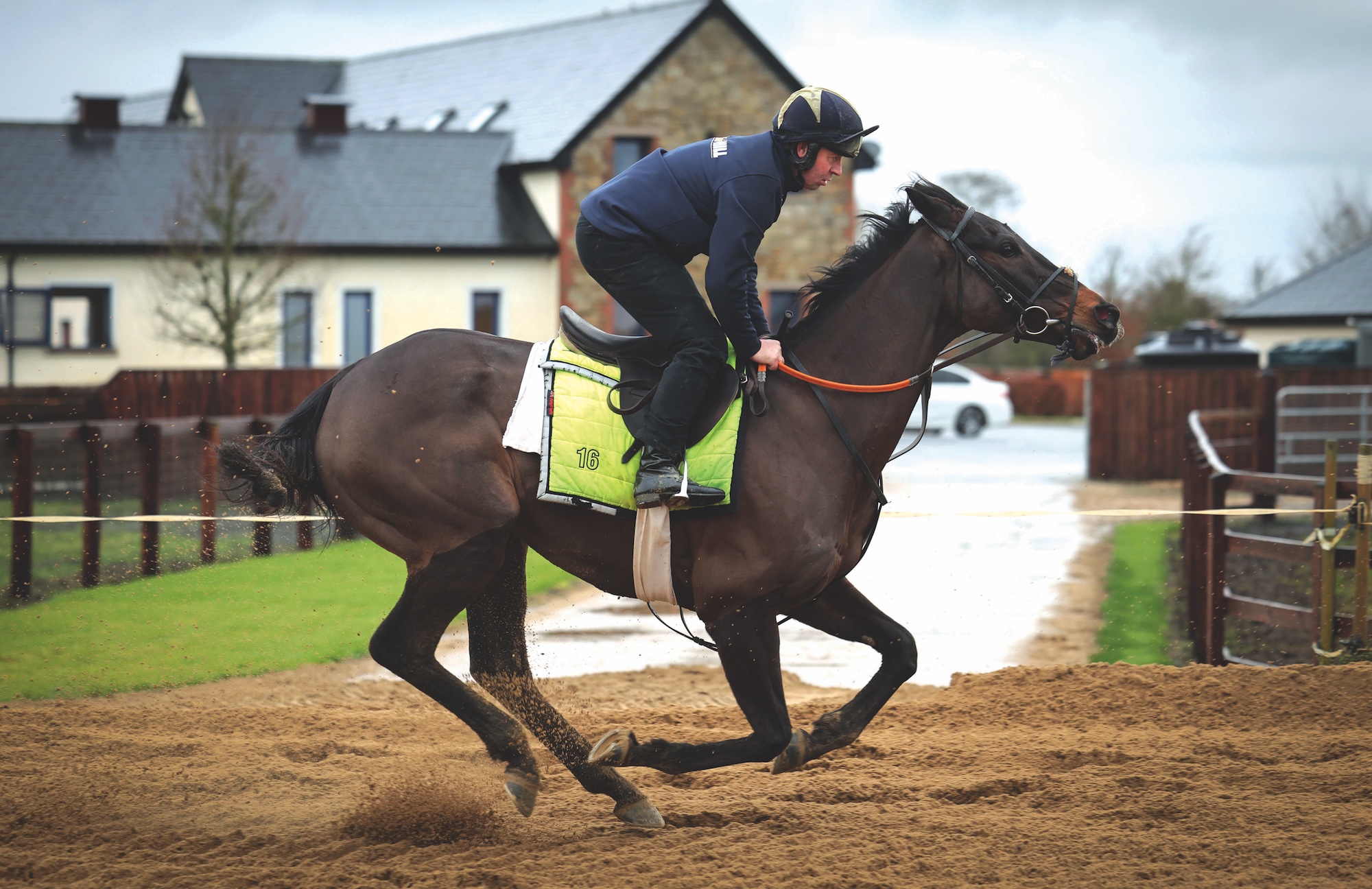 Racehorse Marine Nationale galloping at home, jockey riding.