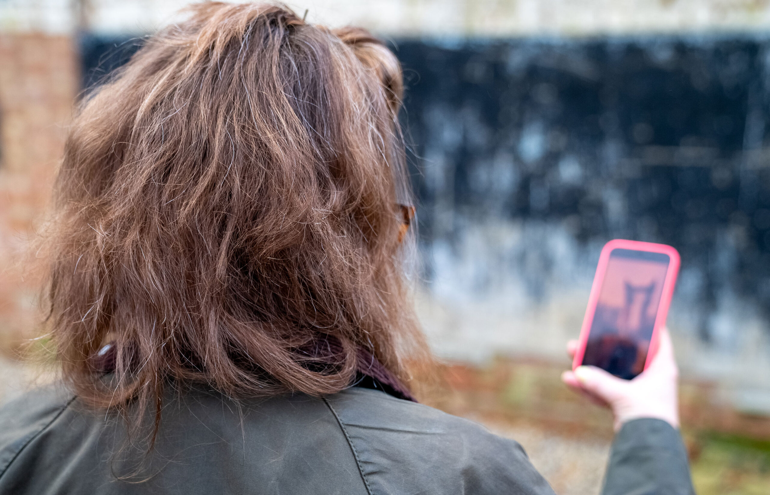 Person using their phone to report a horse welfare concern