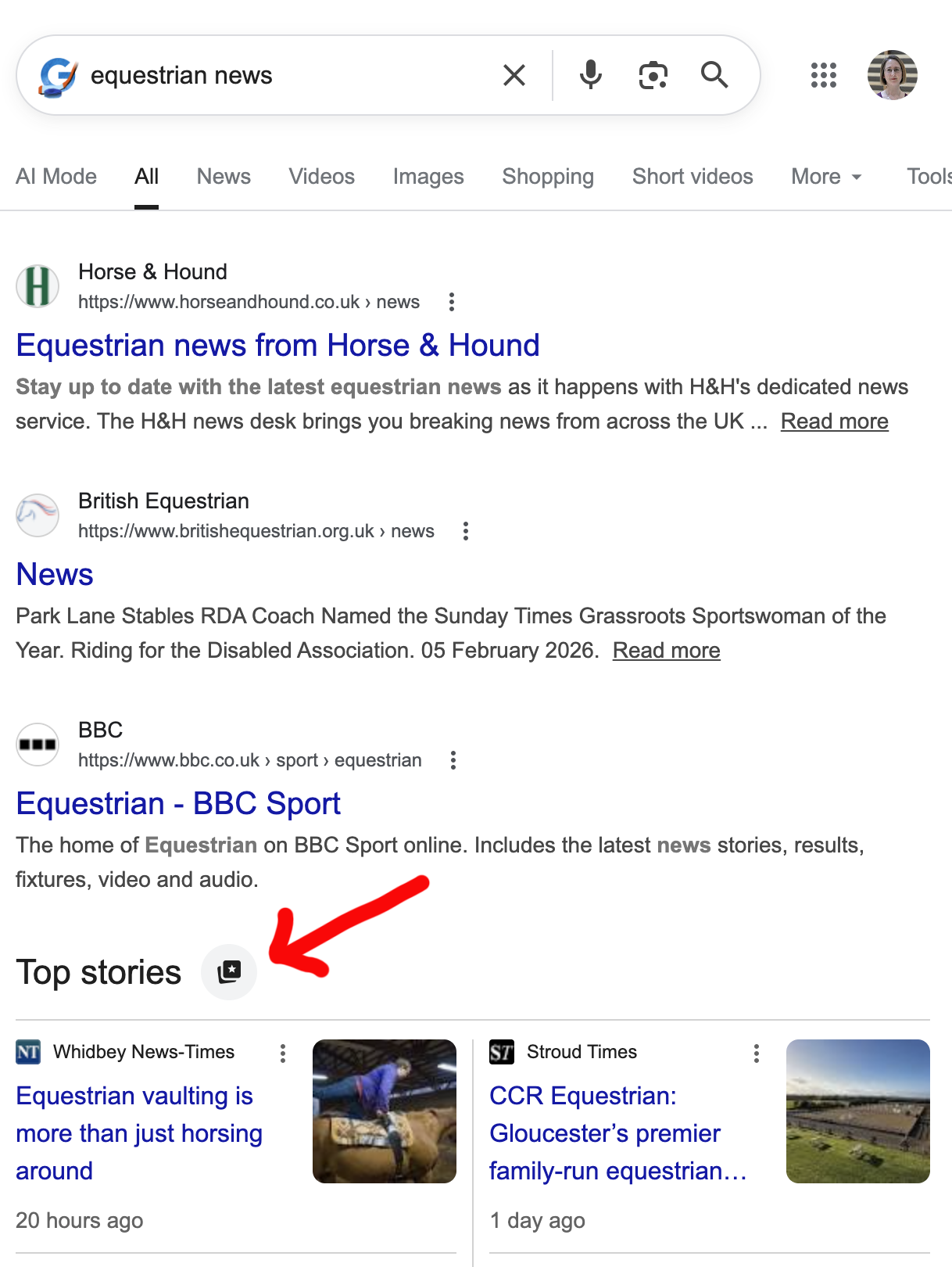 A screenshot of a google search result highlighting the icon beside the top stories label