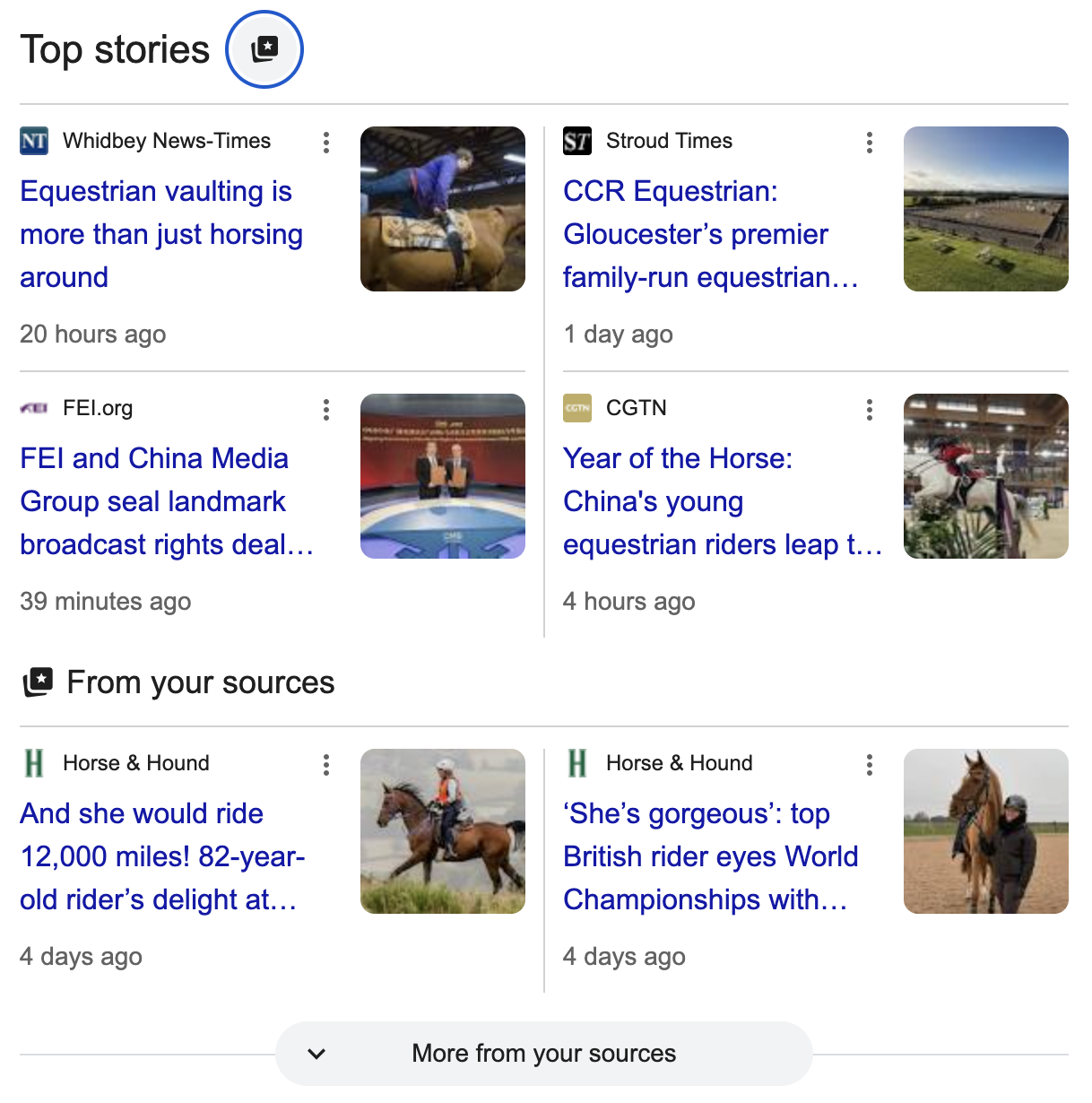 A Google screenshot showing Horse & Hound in top stories