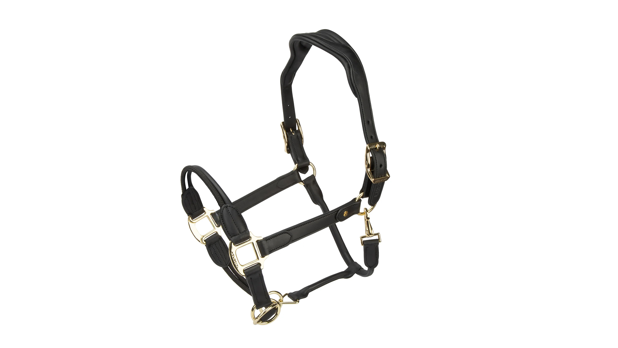 Velociti Lusso Soria Control Leather Headcollar