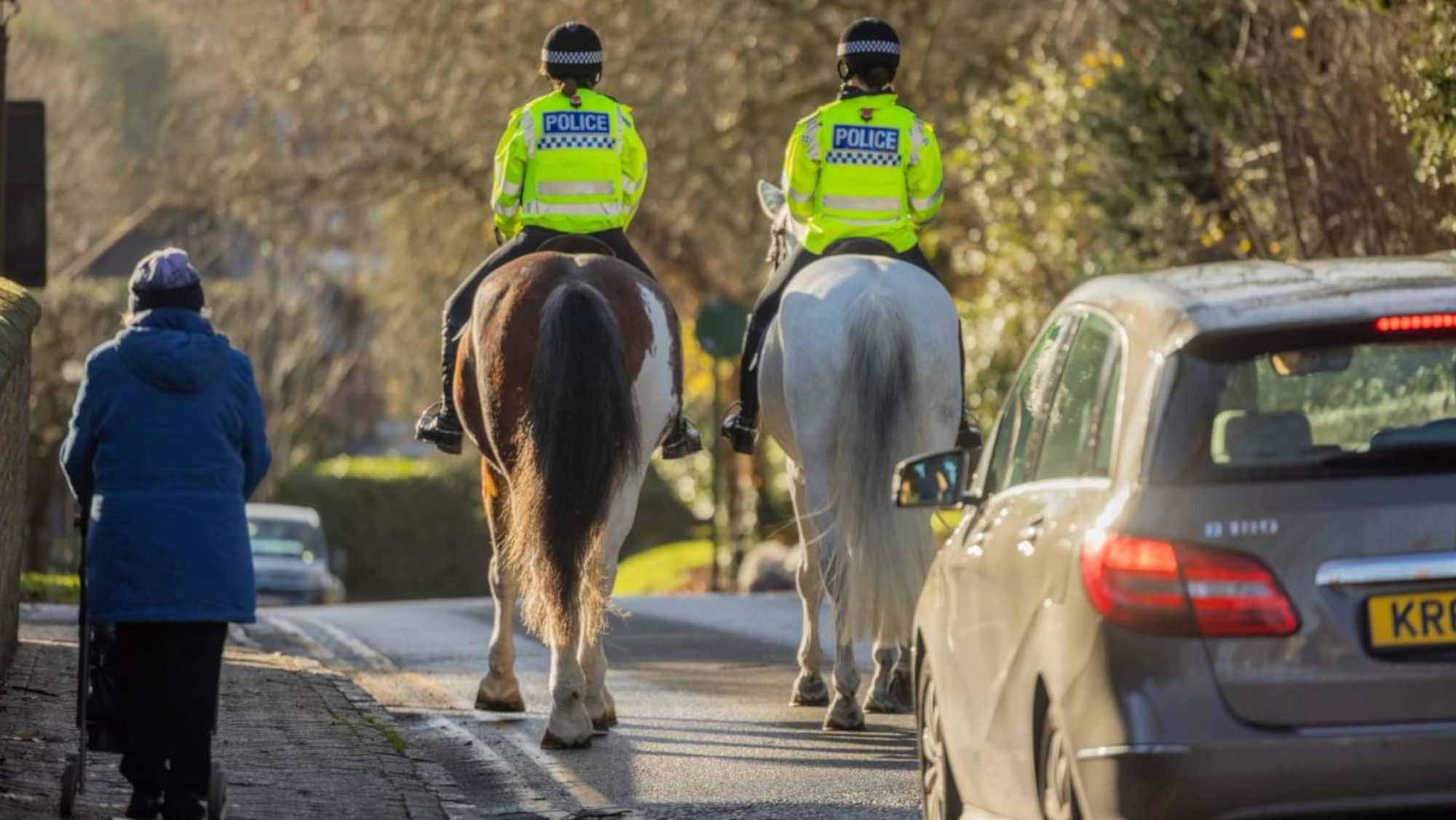 ‘People’s response has been phenomenal’: new police horses help educate drivers