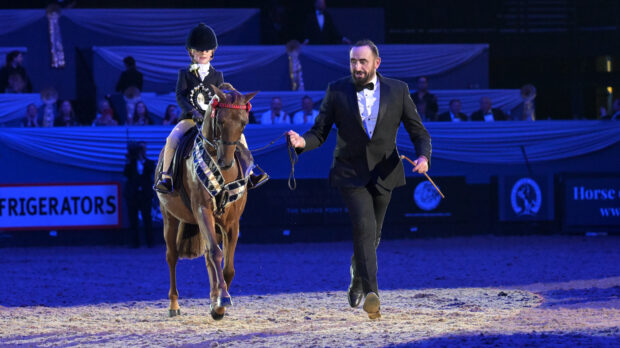 John Harvey leads Elmswood Spring Parade and Florence Rendall down the centre line at HOYS 2025 after they are crowned supreme pony champions.