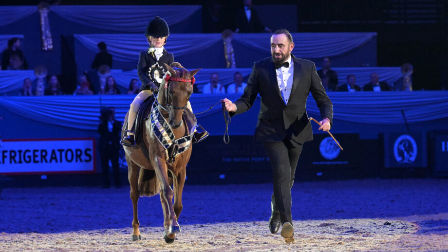 John Harvey leads Elmswood Spring Parade and Florence Rendall down the centre line at HOYS 2025 after they are crowned supreme pony champions.