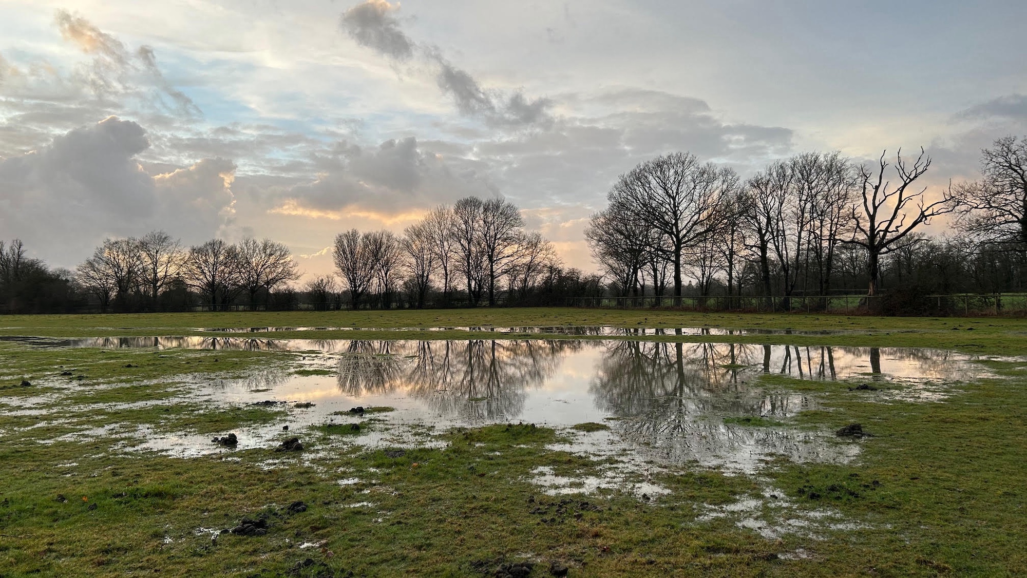 Standing water on a horses' field in winter