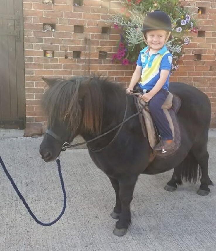 Shetland pony Hector of Transy and his final little rider Freddie at home together.