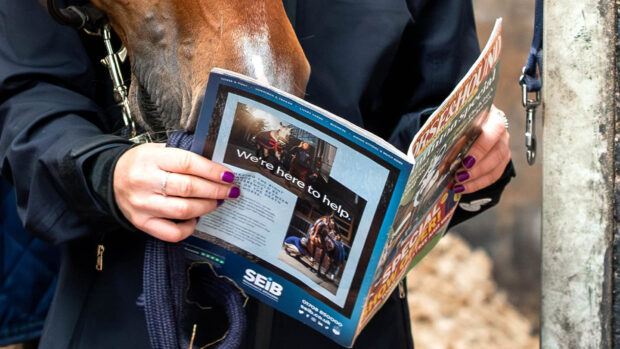 A rider reading Horse & Hound magazine at the stables with her horse