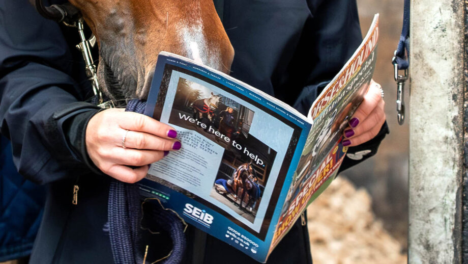 A rider reading Horse & Hound magazine at the stables with her horse