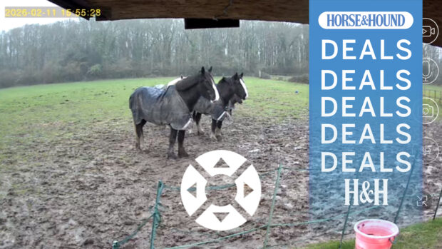 Screenshot from Xega camera with H&H deals graphic