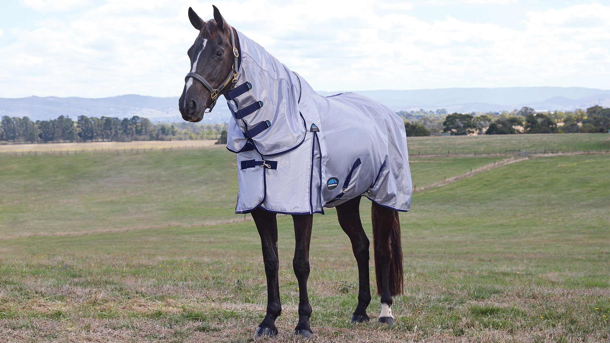 Weatherbeeta ComFiTec Hexi Shield Fly Sheet Combo