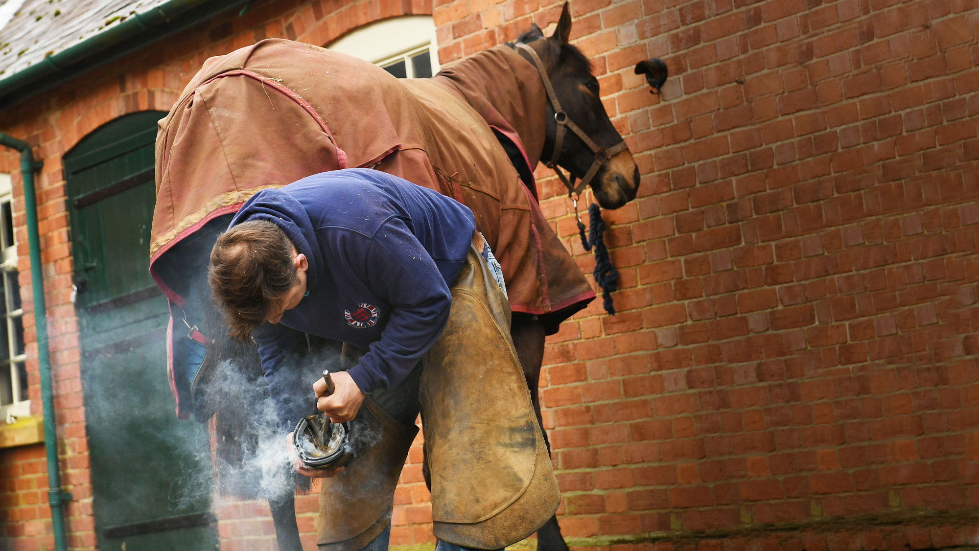 Horse being shod by a farrier