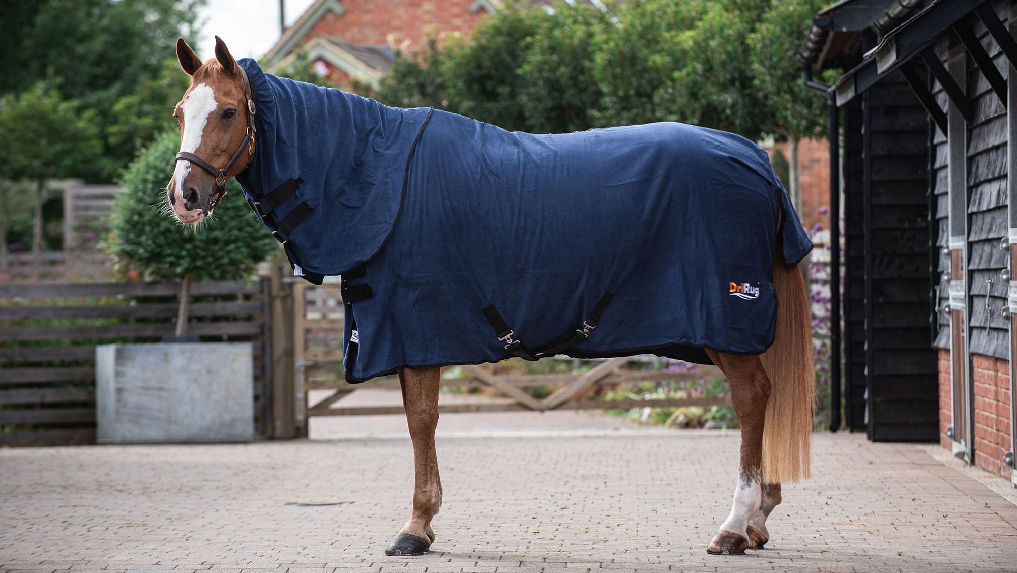 DriRug Drying Rug for horses