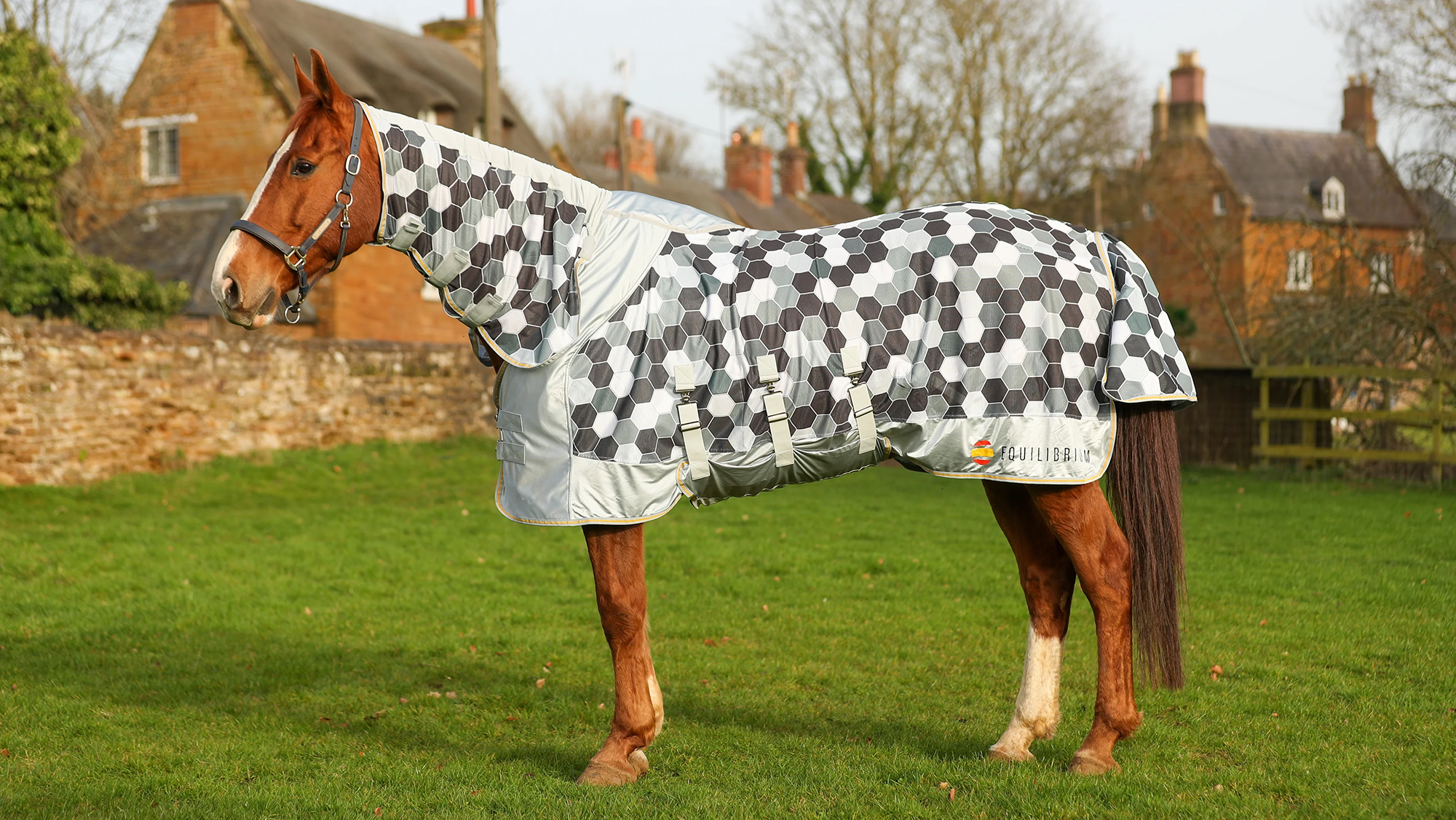 Equilibrium Field Relief Fly Rug