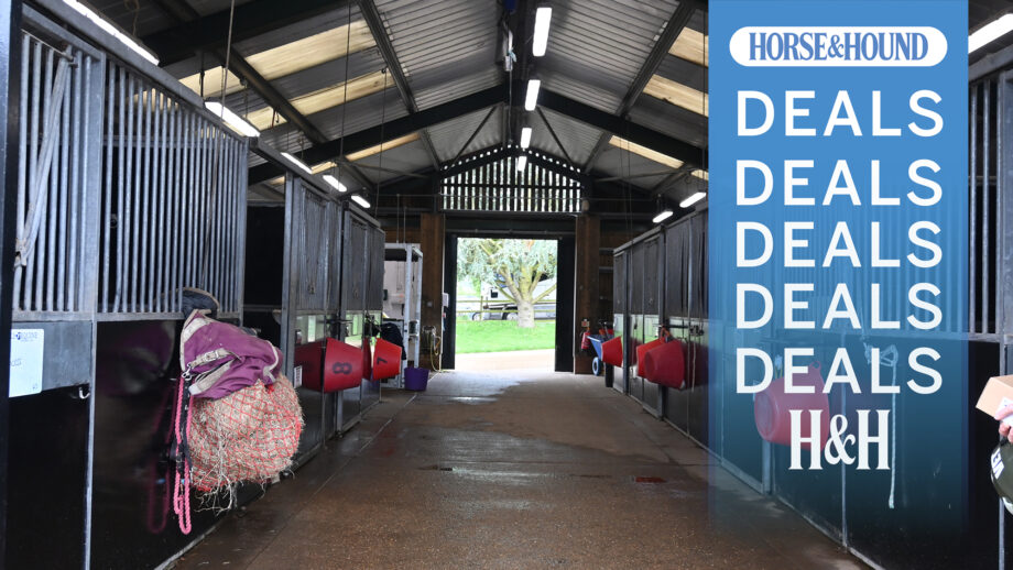 Indoor stable block just cleaned with H&H deals graphic