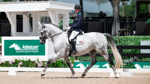 Fiona Howard rides Vianne in competition