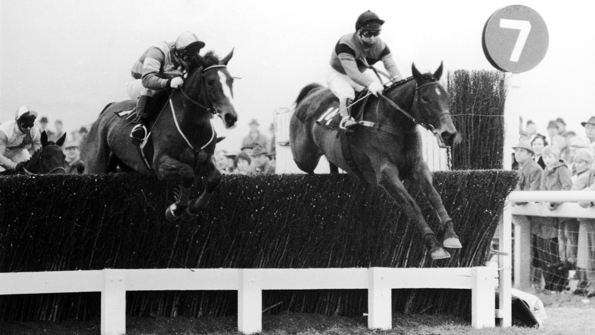 Dawn Run jumps a fence alongside a rival en route to winning the Cheltenham Gold Cup in 1986