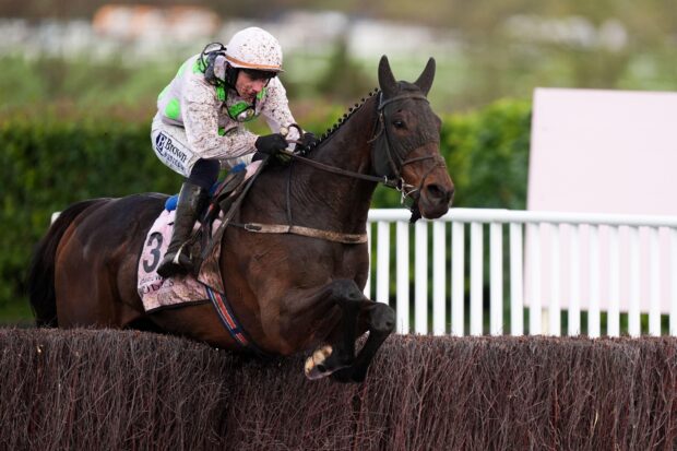 Cheltenham Gold Cup winner Gaelic Warrior ridden by Paul Townend.