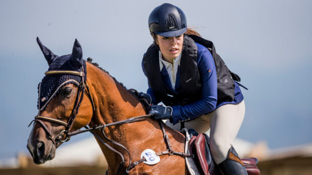 Horse rider showjumping bay horse in an air jacket