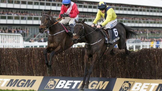 CHELTENHAM, ENGLAND - MARCH 12: Sean Flanagan riding Marine Nationale (yellow) clear the last to win The BetMGM Queen Mother Champion Chase during Day Two of the 2025 Cheltenham Festival at Cheltenham Racecourse on March 12, 2025 in Cheltenham, England. Spectators are encouraged to dress up in their finery on Style Wednesday (previously known as Ladies Day). (Photo by Alan Crowhurst/Getty Images)