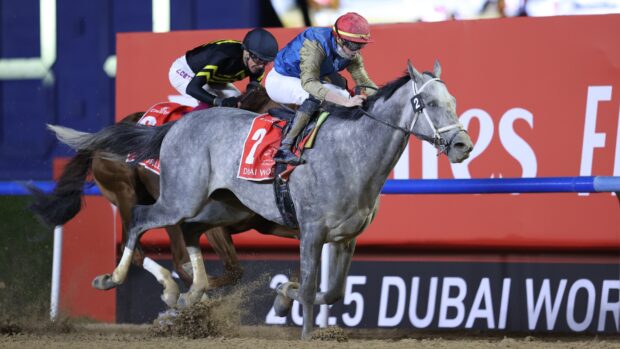 Grey racehorse Hit Show passes the winning post to claim the 2025 Dubai World Cup.