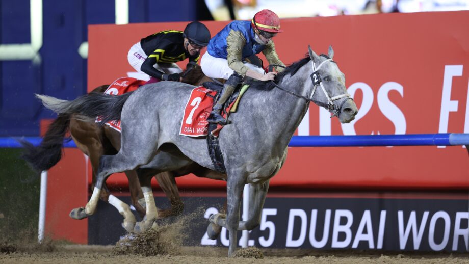 Grey racehorse Hit Show passes the winning post to claim the 2025 Dubai World Cup.